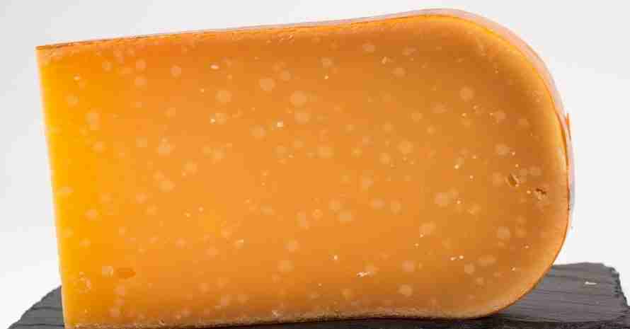 Gouda cheese