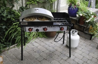 Portable Pizza Oven: Which One Suits Your Needs