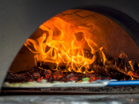 Best Mobile Wood Fired Pizza Ovens: How to Select